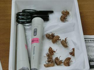 CIMG8312_R.JPG