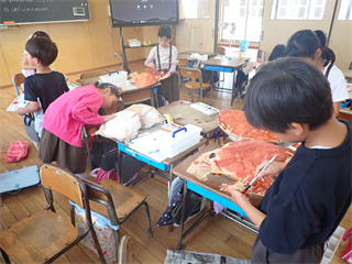 P6062105_R.PNG